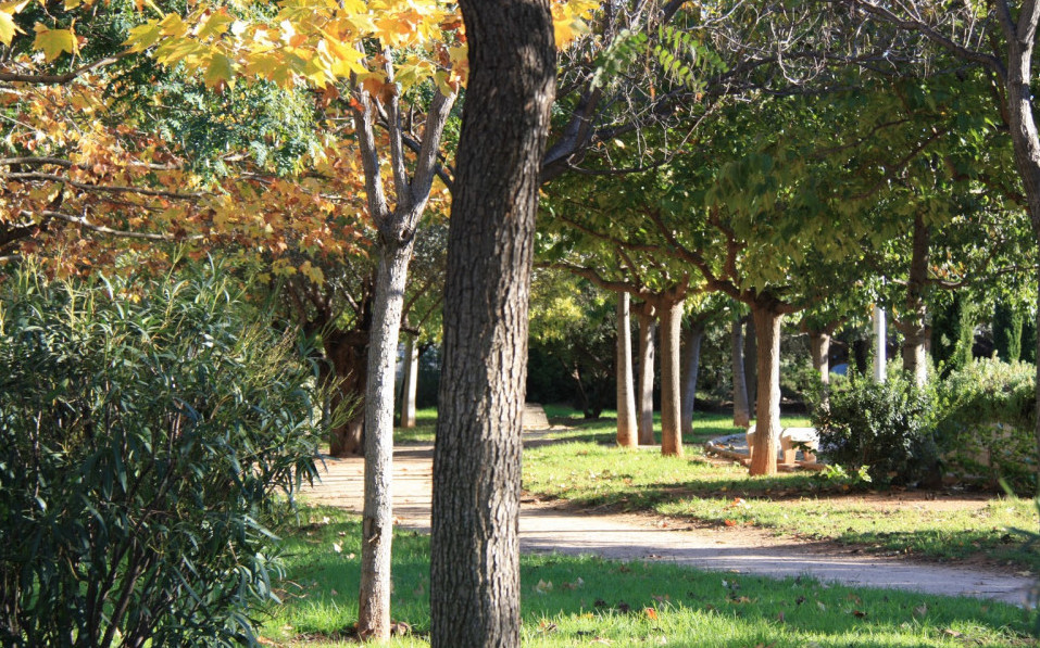 Picanya, la pequeña Suiza de L’Horta Sud